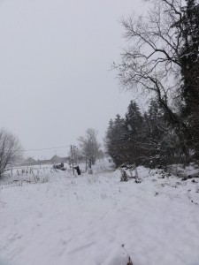 DSC01713.JPG