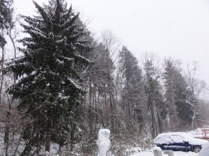 DSC01714.JPG
