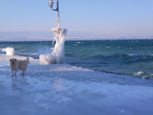 2012-02-04 15.11.19.jpg
