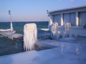 2012-02-04 15.16.27.jpg